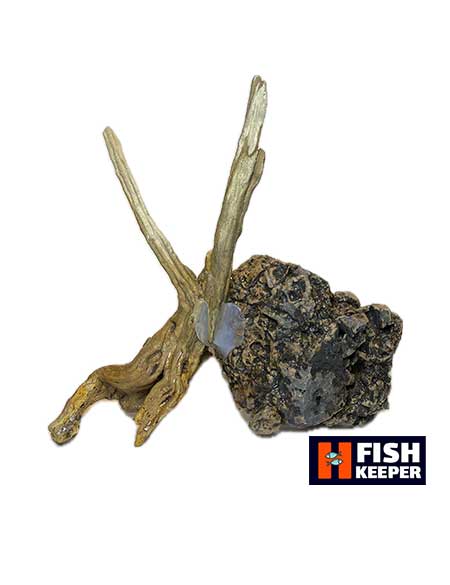 دکور آکواریوم سنگ و چوب طبیعی (17*17) - Image 2