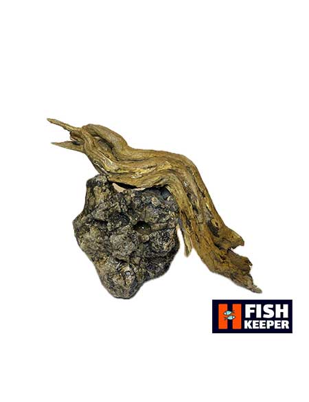 دکور آکواریوم سنگ و چوب طبیعی (16*14)