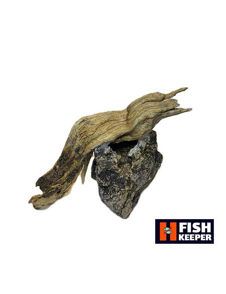 دکور آکواریوم سنگ و چوب طبیعی (16*14) - Image 2