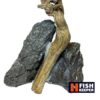 دکور آکواریوم سنگ و چوب طبیعی (16*20) - Image 2