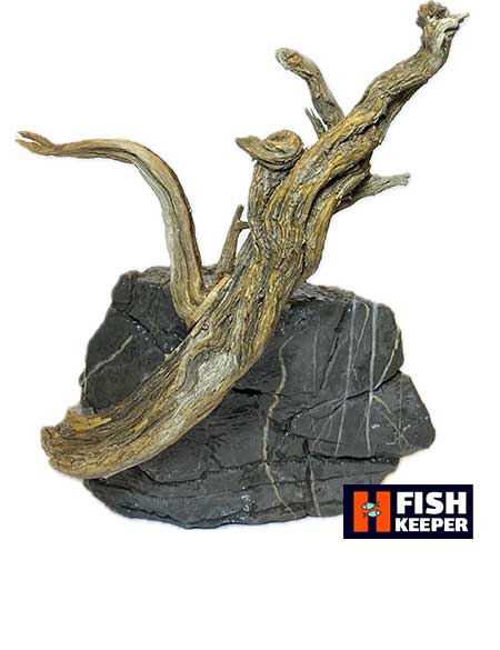 دکور آکواریوم سنگ و چوب طبیعی (15*19) - Image 2