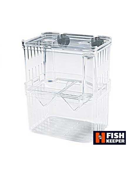 زایشگاه ماهی ROYAL